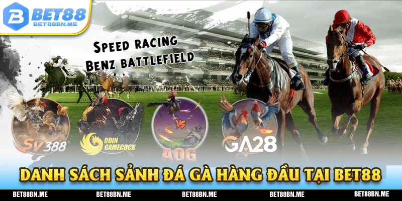 Danh sách những sảnh đá gà chất lượng mà BET88 sở hữu 